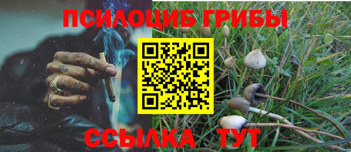 Магнитогорск  Галлюциногенные грибы Psilocybine cubensis  Галлюциногенные грибы мухоморы  Вход с VPN 